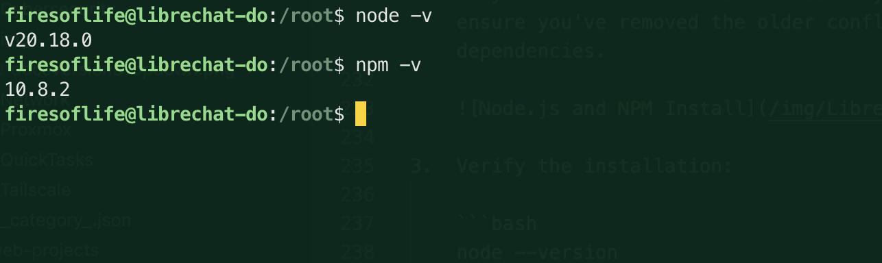 Node.js and NPM Versions